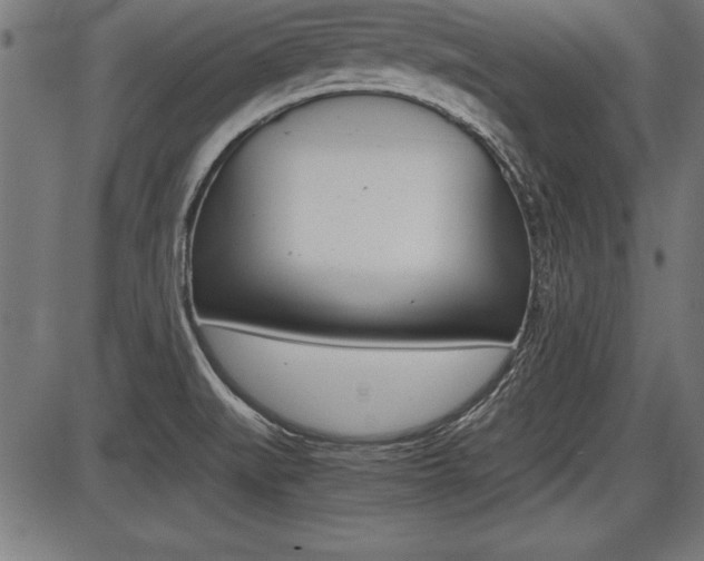 X0000087691519200705040808
