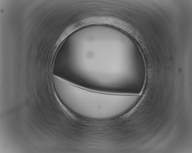 X0000087691521200705040808