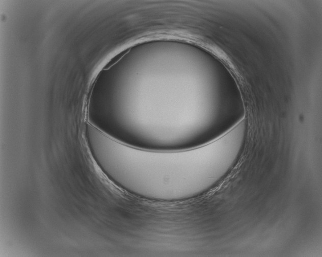 X0000087691524200705040809