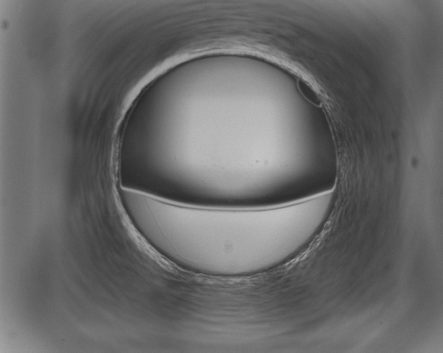 X0000087691526200705040809