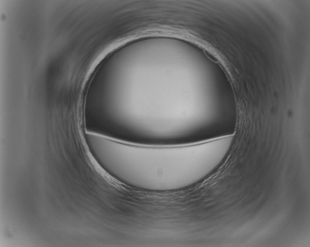 X0000087691531200705040809