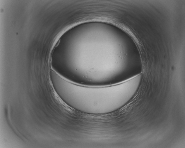 X0000087691532200705040809