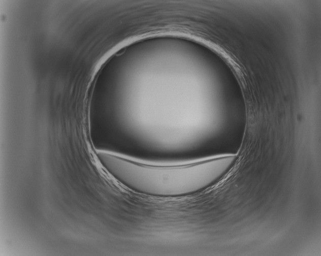 X0000087691534200705040809