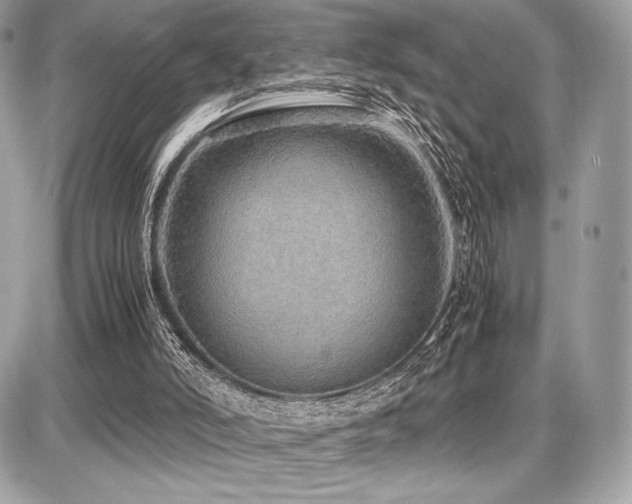 X0000087690006200705041049