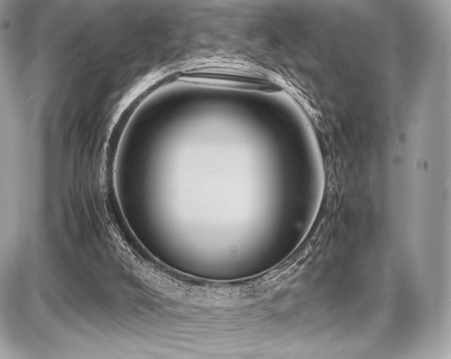 X0000087690008200705041049