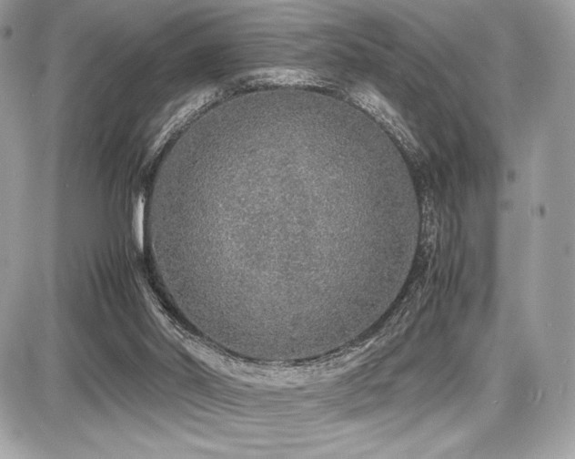 X0000087690014200705041049