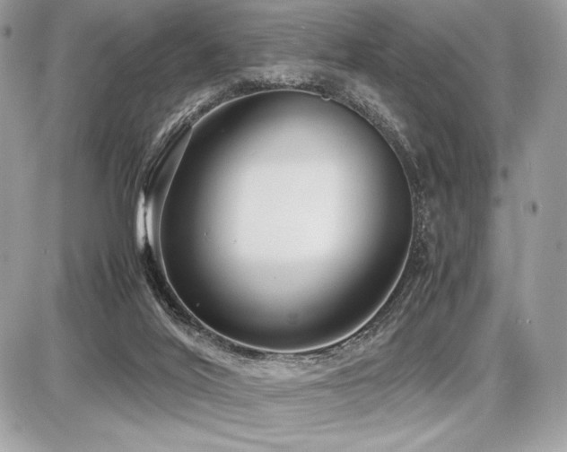 X0000087690020200705041049