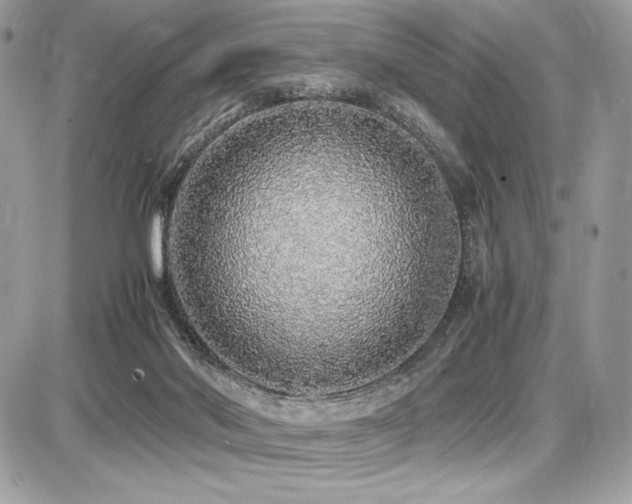 X0000087690022200705041049
