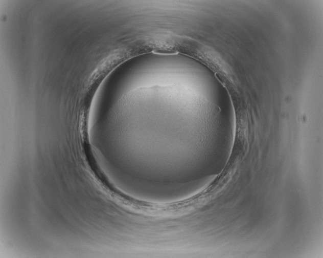 X0000087690023200705041049