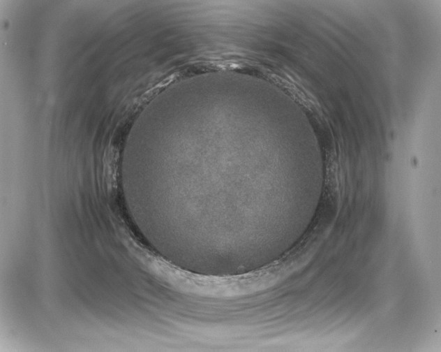 X0000087690030200705041049