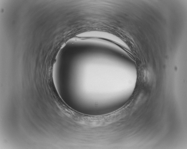 X0000087690033200705041049