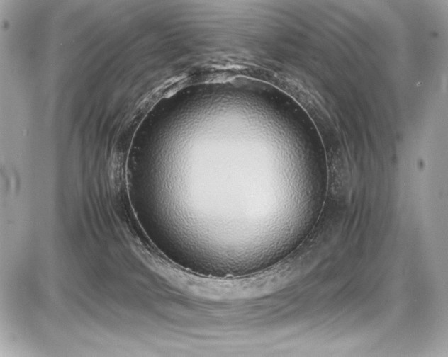 X0000087690034200705041049