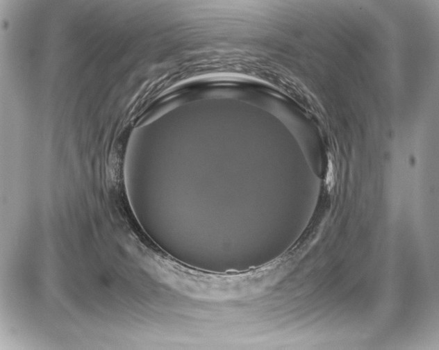 X0000087690035200705041049
