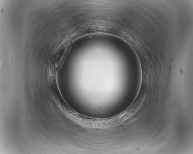 X0000087690040200705041049