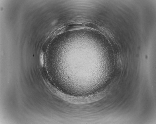 X0000087690042200705041049