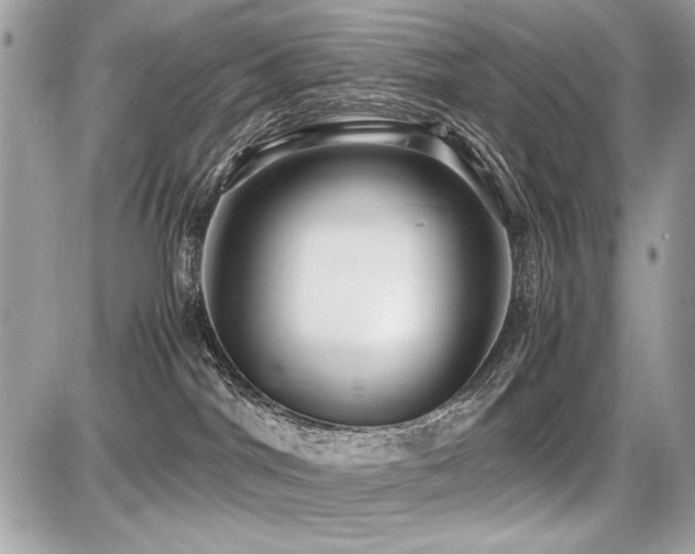 X0000087690044200705041049