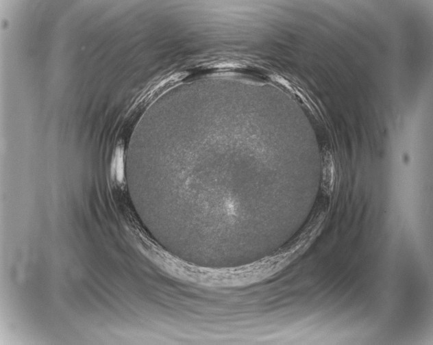 X0000087690046200705041049