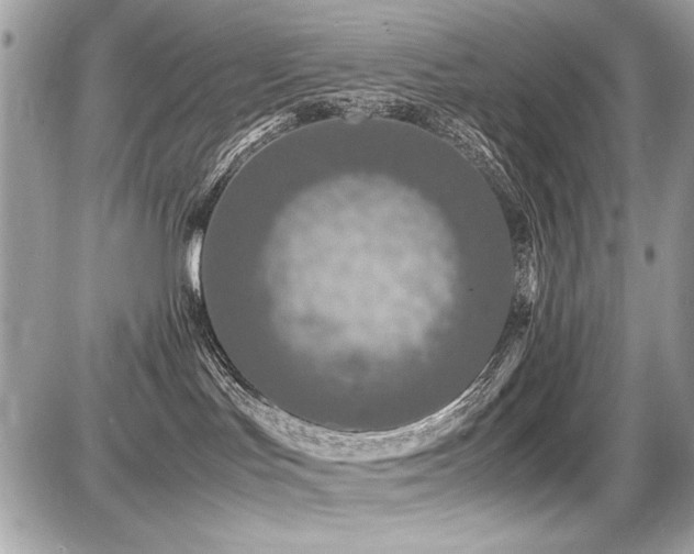 X0000087690047200705041049