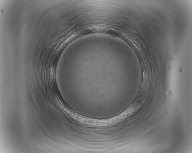 X0000087690048200705041049