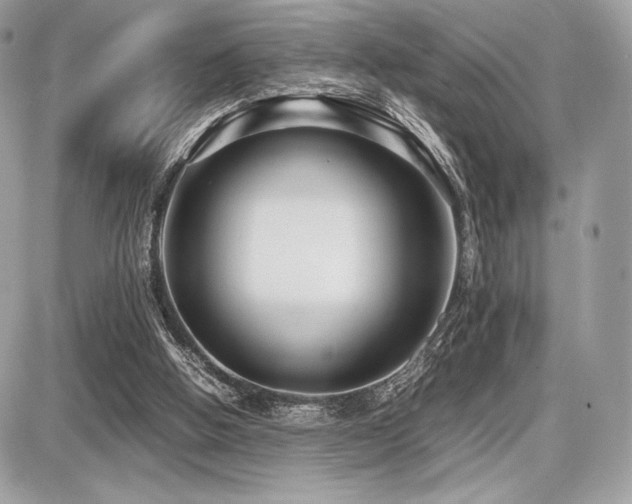 X0000087690058200705041048