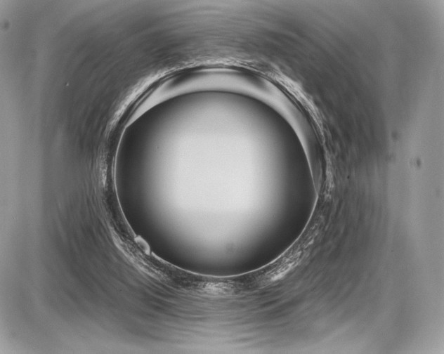 X0000087690060200705041048
