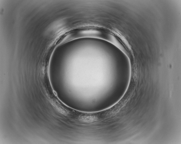 X0000087690063200705041048