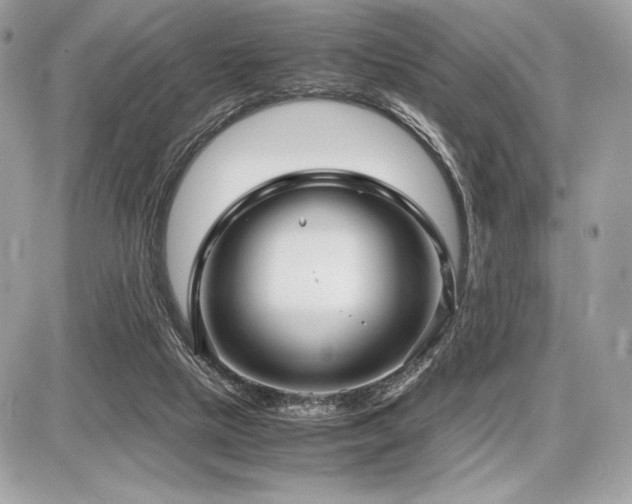 X0000087690065200705041048