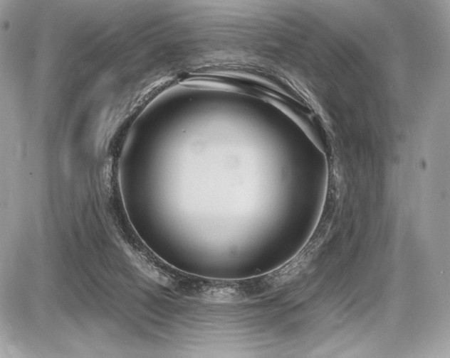 X0000087690066200705041048