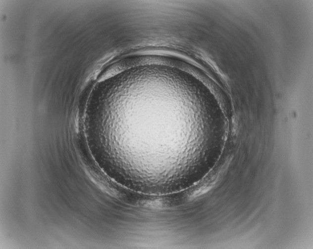 X0000087690068200705041048