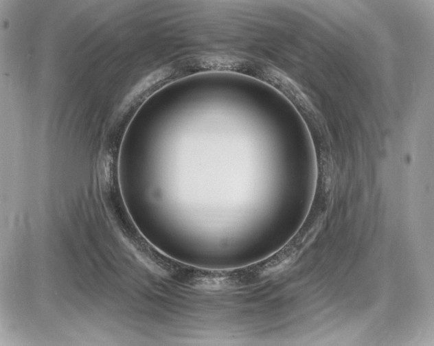 X0000087690071200705041048