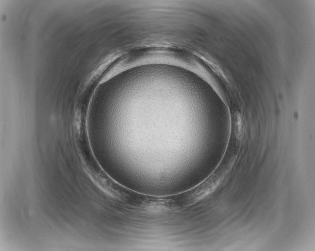 X0000087690072200705041048