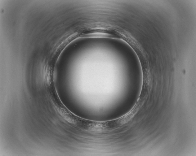 X0000087690074200705041048