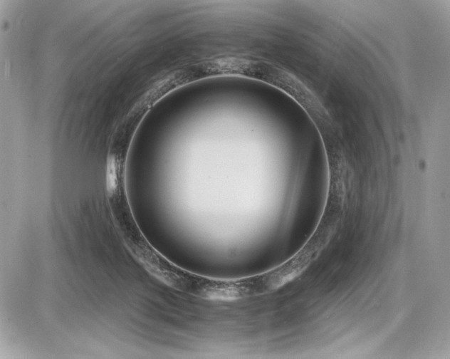 X0000087690075200705041048