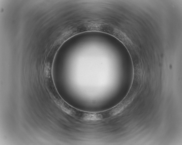 X0000087690083200705041048