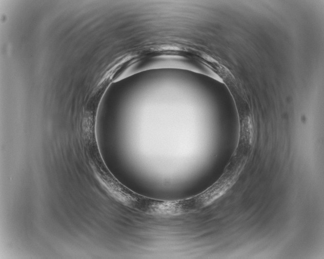 X0000087690092200705041049
