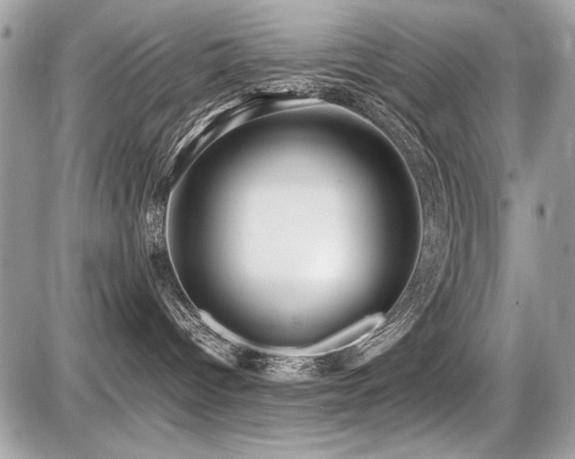 X0000087690096200705041049