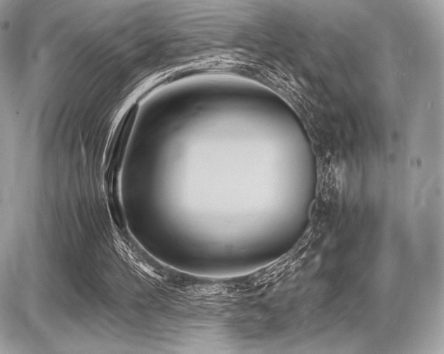 X0000087690100200705041048