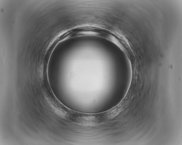 X0000087690108200705041048