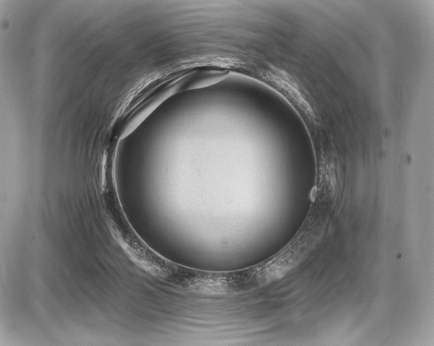 X0000087690110200705041048