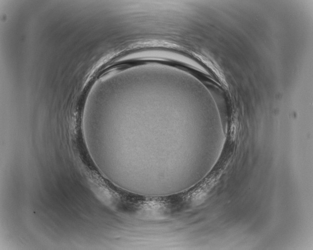 X0000087690111200705041048