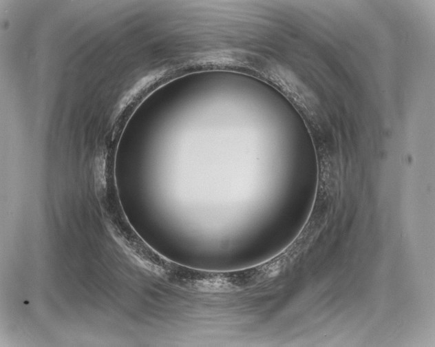 X0000087690112200705041048