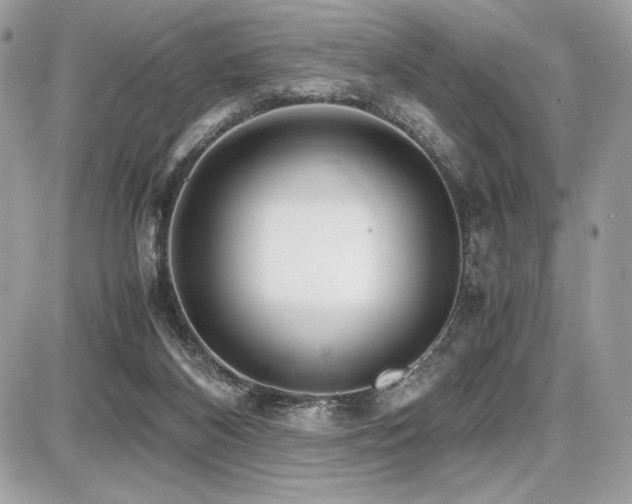X0000087690116200705041047