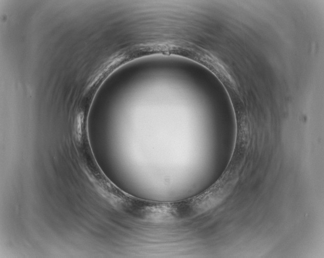 X0000087690118200705041047