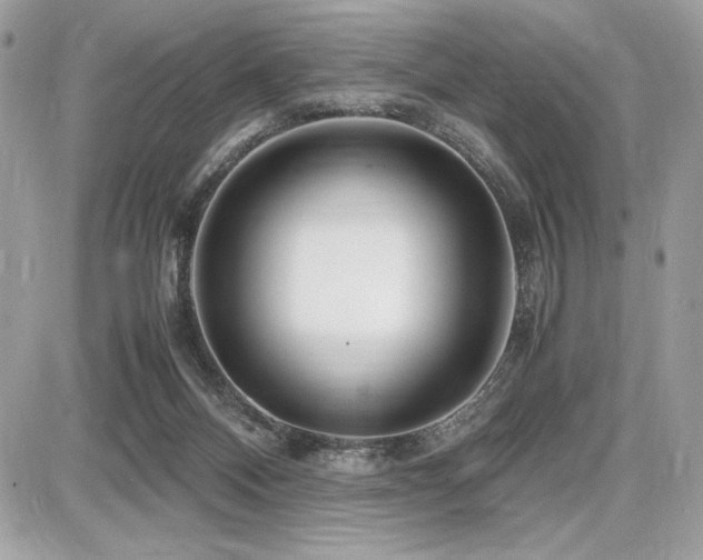 X0000087690120200705041047