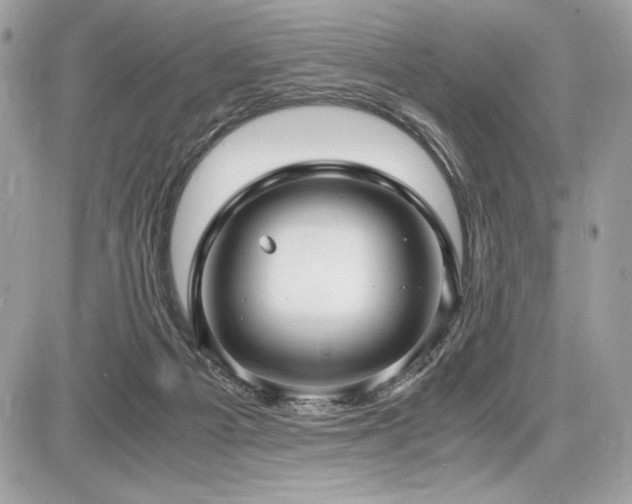 X0000087690121200705041047