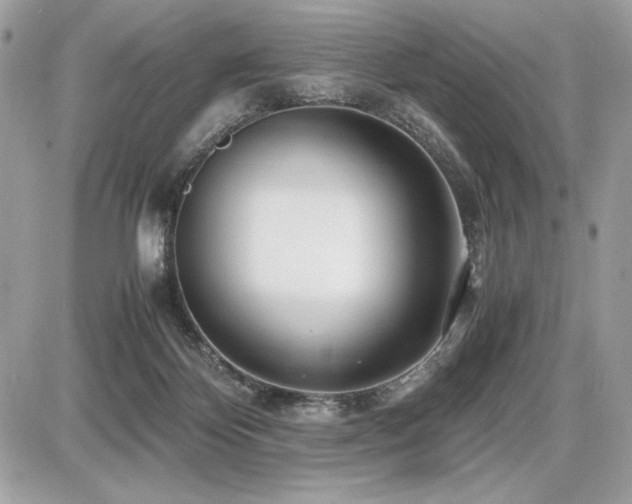 X0000087690124200705041047