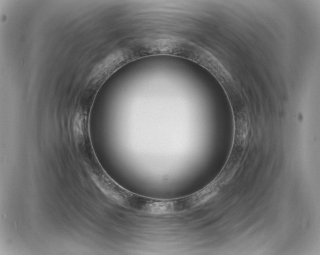 X0000087690126200705041047