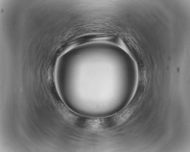 X0000087690131200705041047