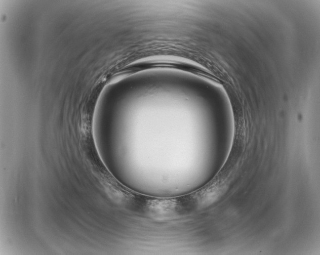 X0000087690135200705041047
