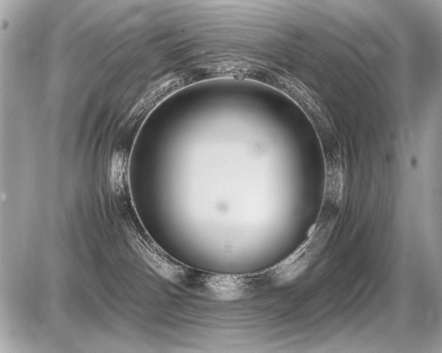 X0000087690142200705041047